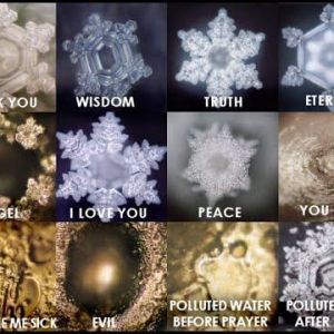 23f3caa5669a756b4faba14c571cc0ad