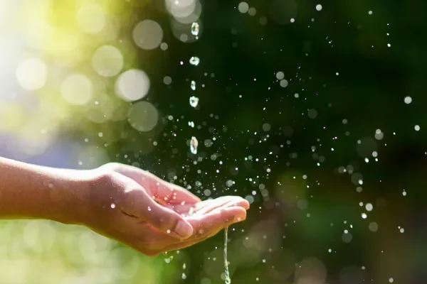 a+water+blog+1-1920w